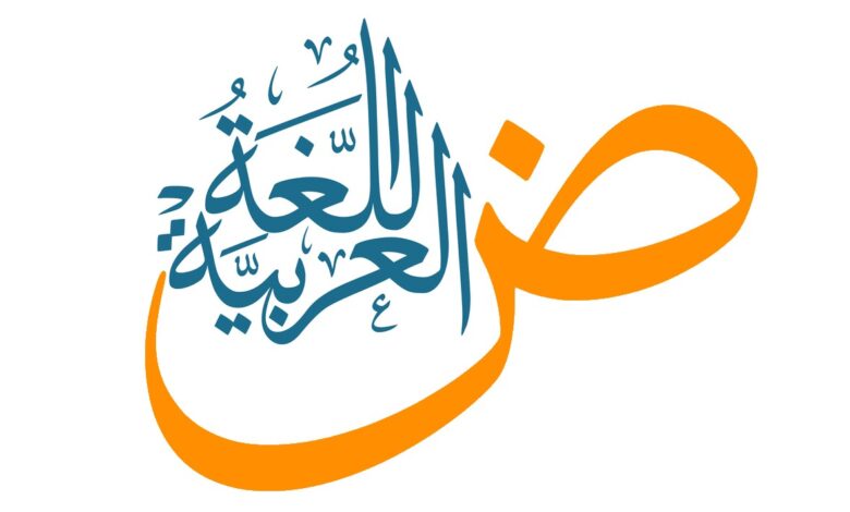شهر 8 نحو وصرف وبلاغة وأدب ونصوص